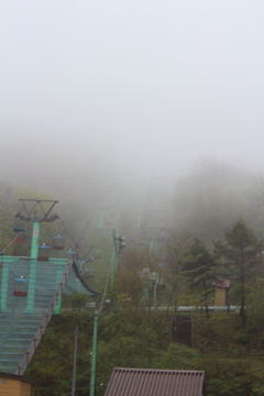 霧中へ
