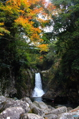 晩秋の滝