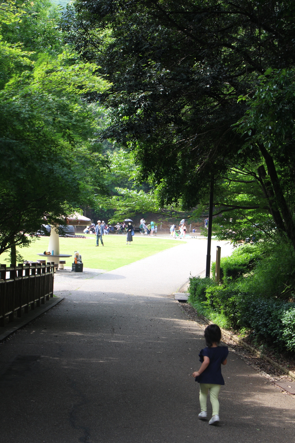 赤塚山公園　光のほうへ