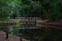 大井埠頭緑道公園