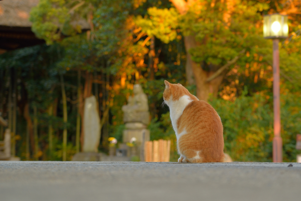 祈ってる…ような……