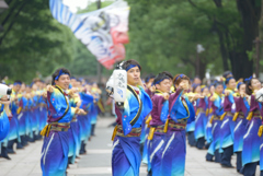 よさこい祭り in 光が丘　4