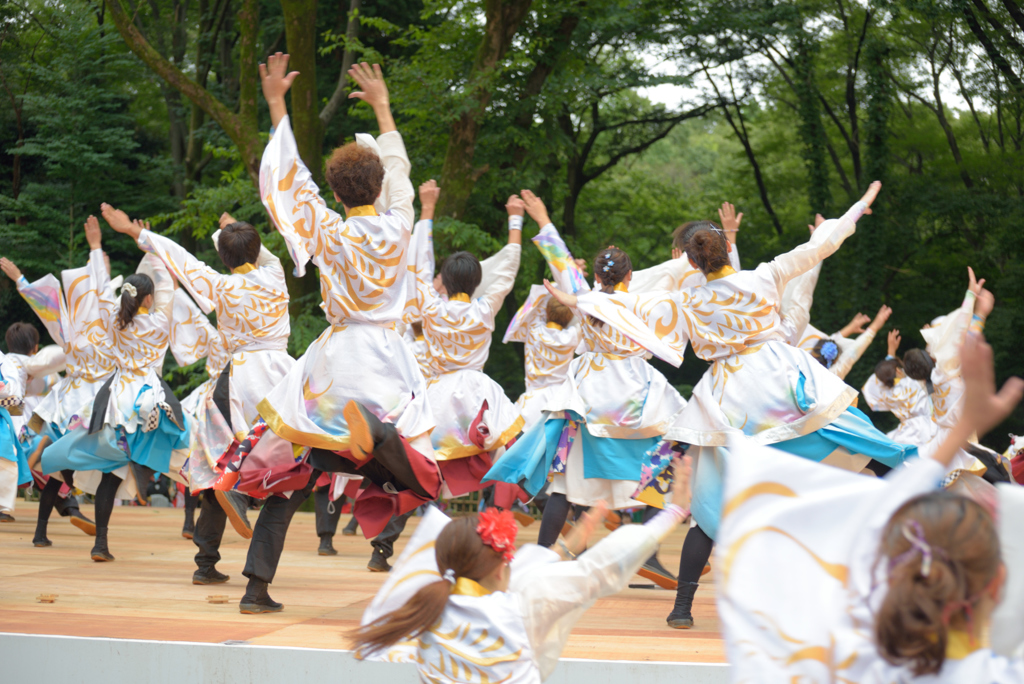 原宿表参道元氣祭 スーパーよさこい2016　その9