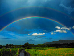 梅雨期の虹