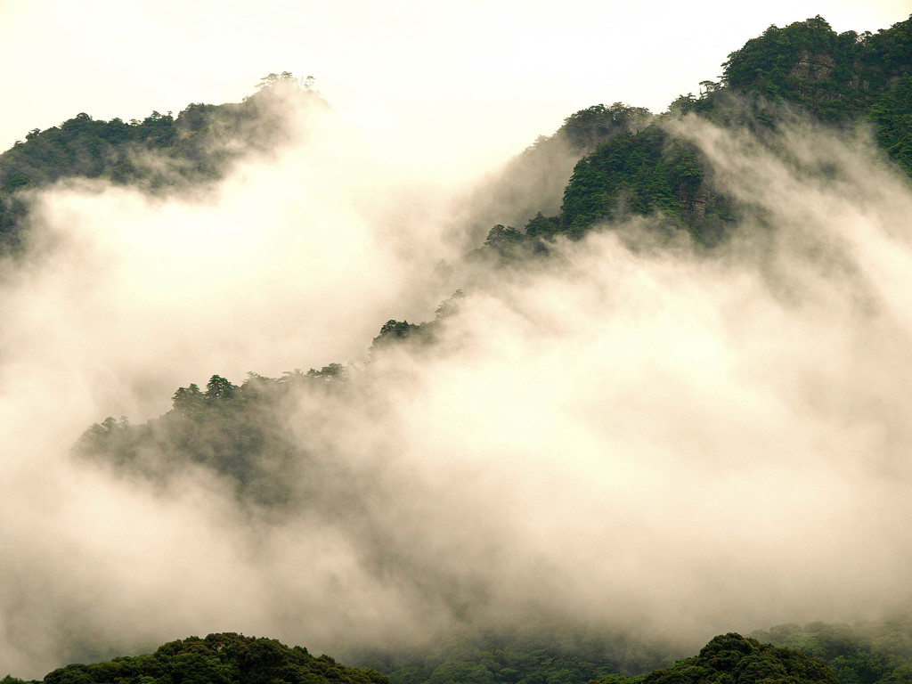 雲湧く