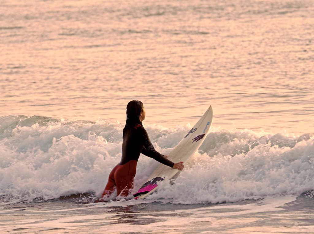 今朝のサーファー