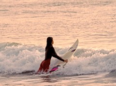 今朝のサーファー