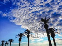 宮崎の空