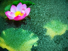 降りしきる雨に打たれて