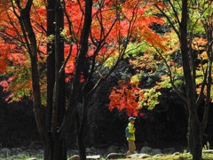 深まりゆく秋