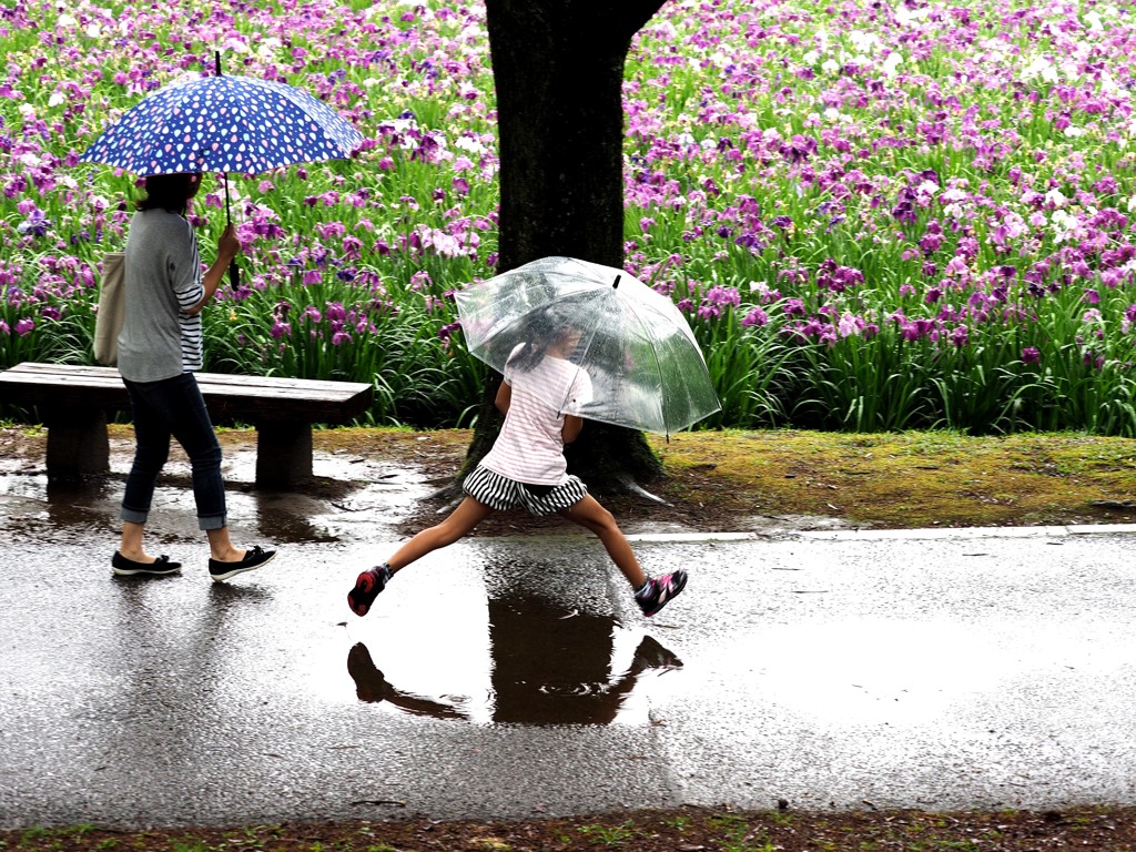 水たまり