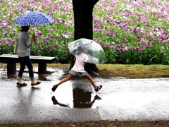 水たまり