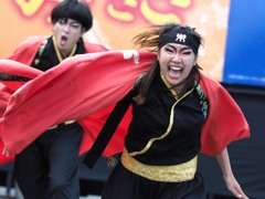 みやざきよさこい