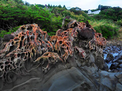 岩礁Ⅱ