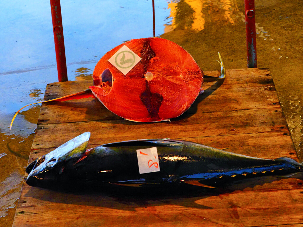 贅沢にマグロの輪切りステーキ、食ってみたいよ！。