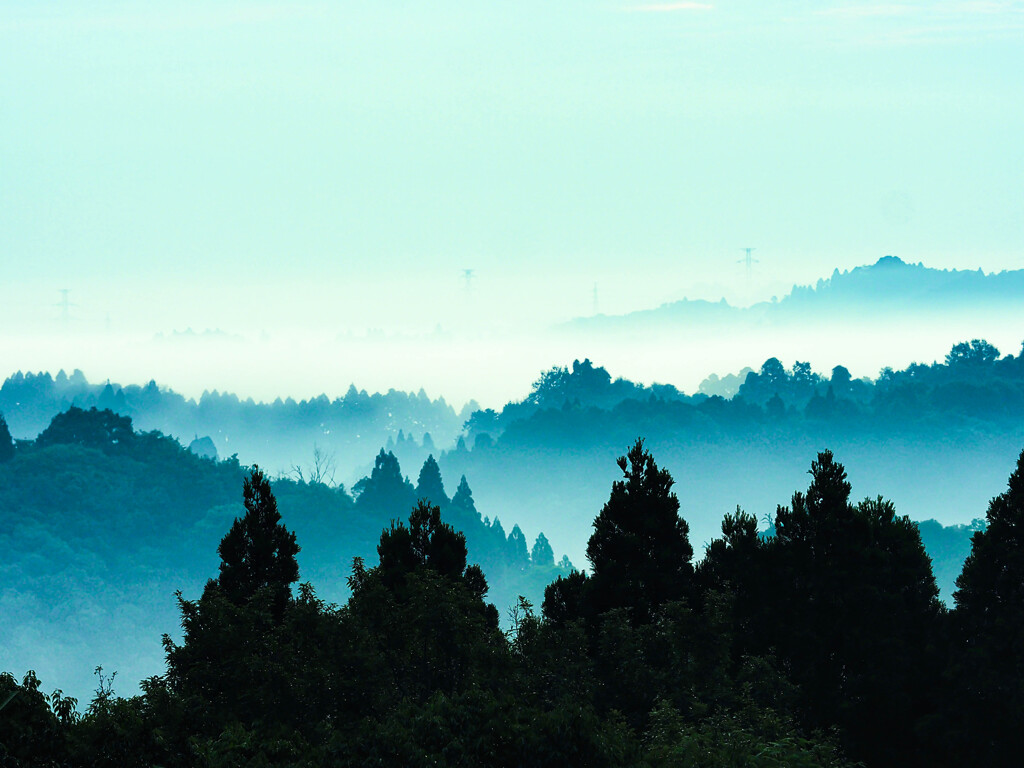 里山朝霧