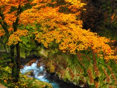 峡の彩り