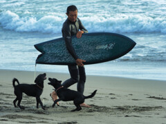 サーファーと犬