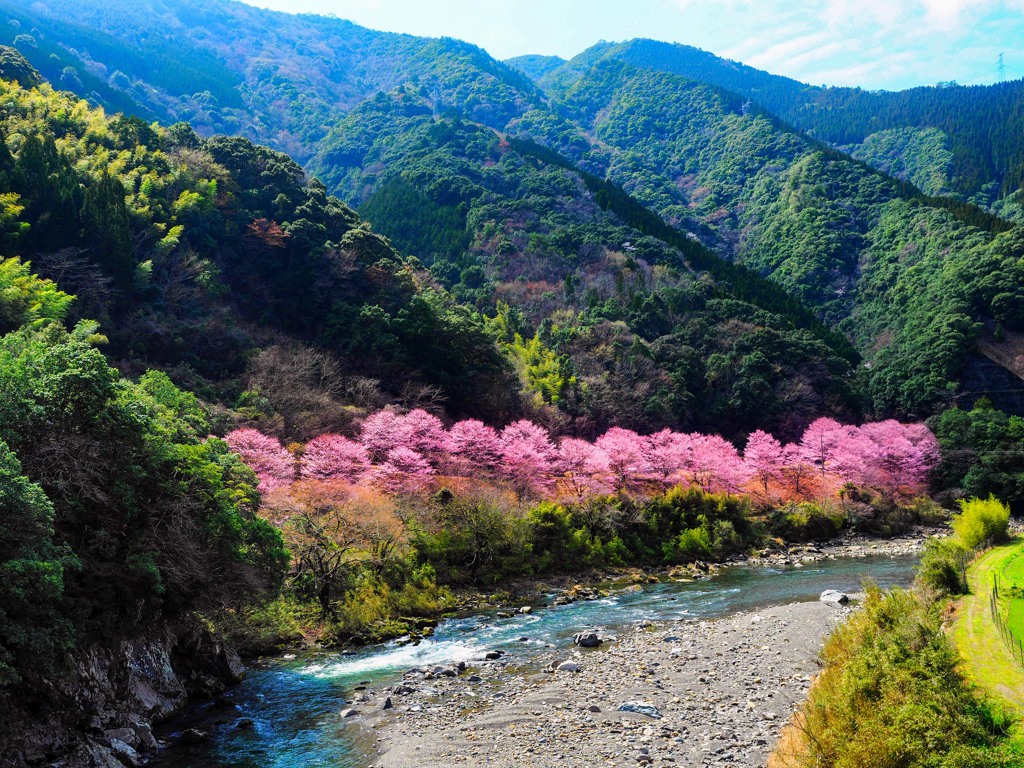 山里の春