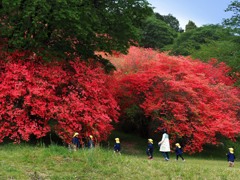ちびっ子花見