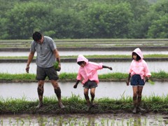 雨の中の父子