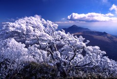 霧氷