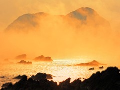 海霧