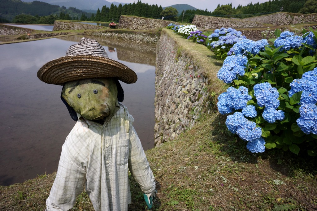 頼りにしてるよ案山子君