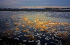 朝雲と波の花