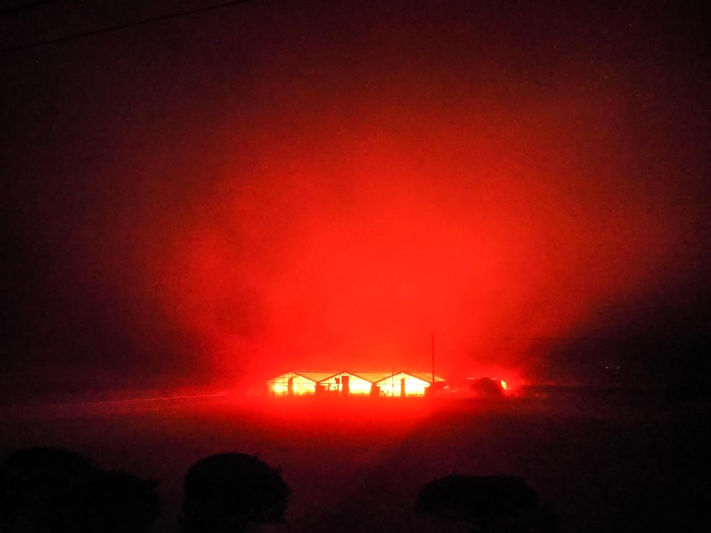 夜霧の電照ハウス