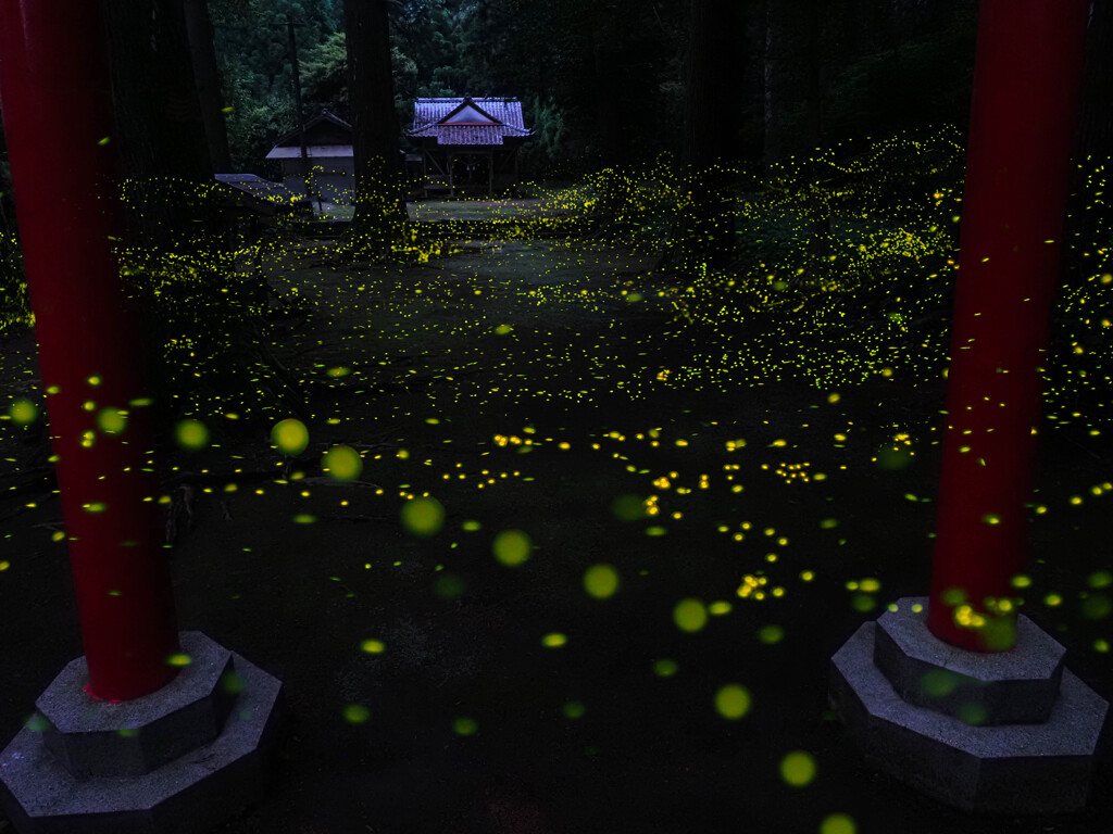 神社境内は姫舞台