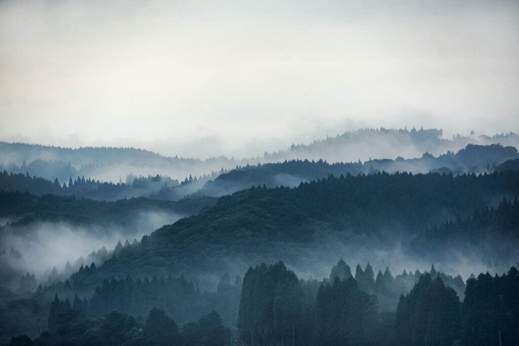 里山朝霧