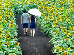 囲まれて