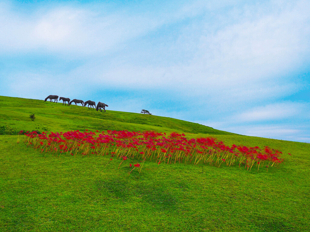 岬の秋