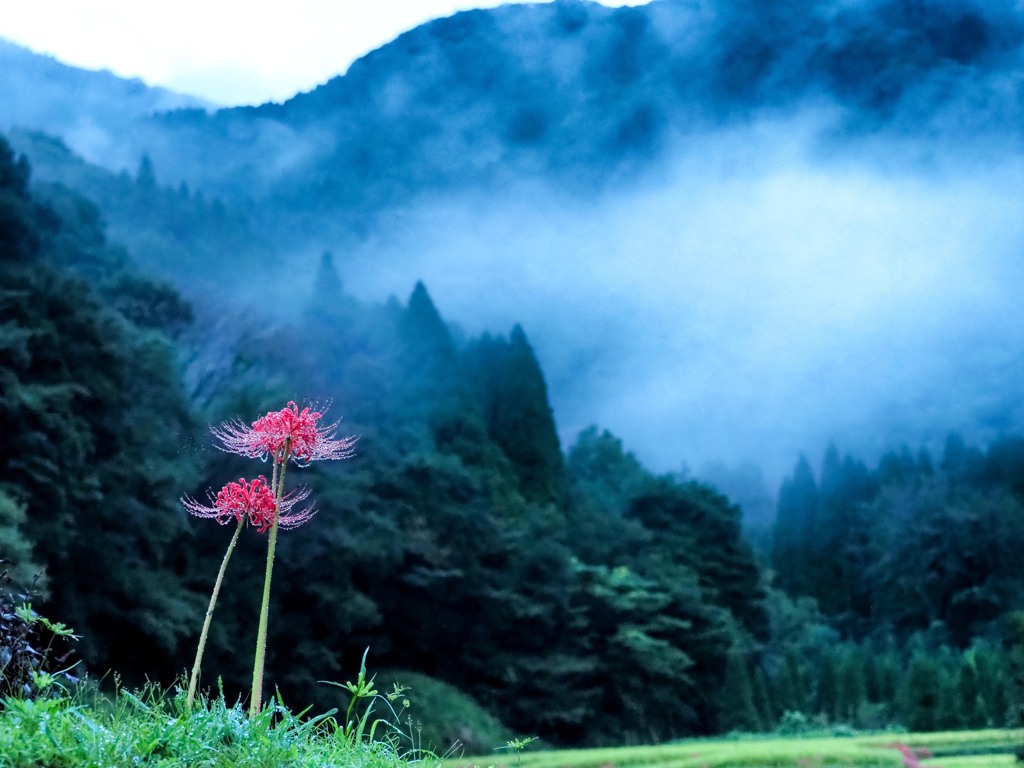 雨あがり