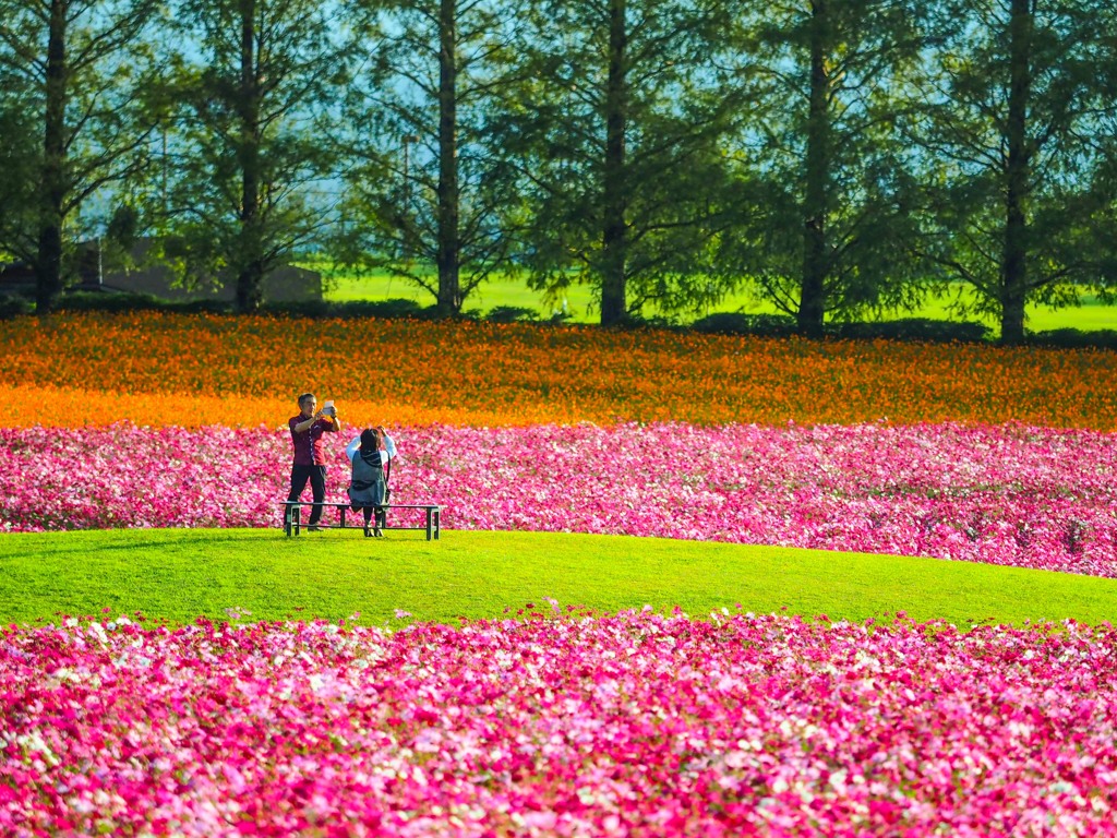 花園