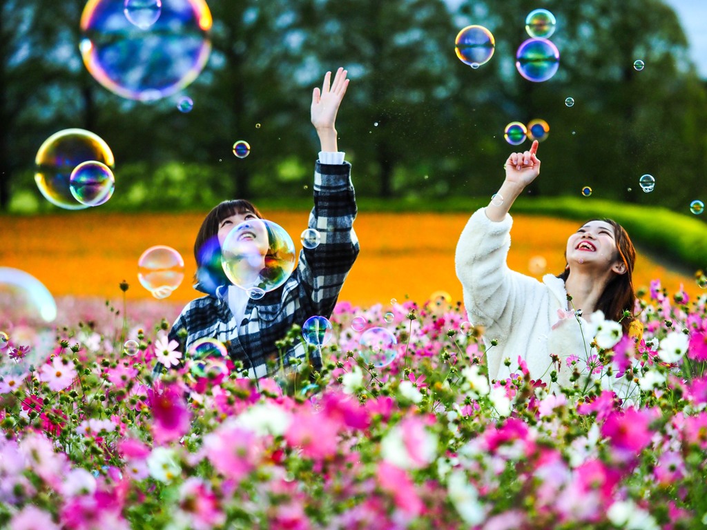 休日の花園