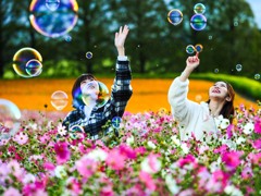 休日の花園