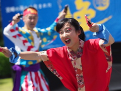 みやざきよさこい