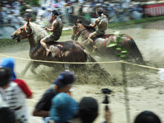 神田を疾走（御田祭）