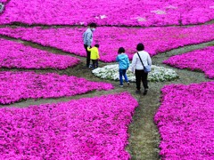 花園