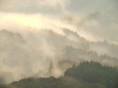 里の山霧