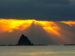朝の光