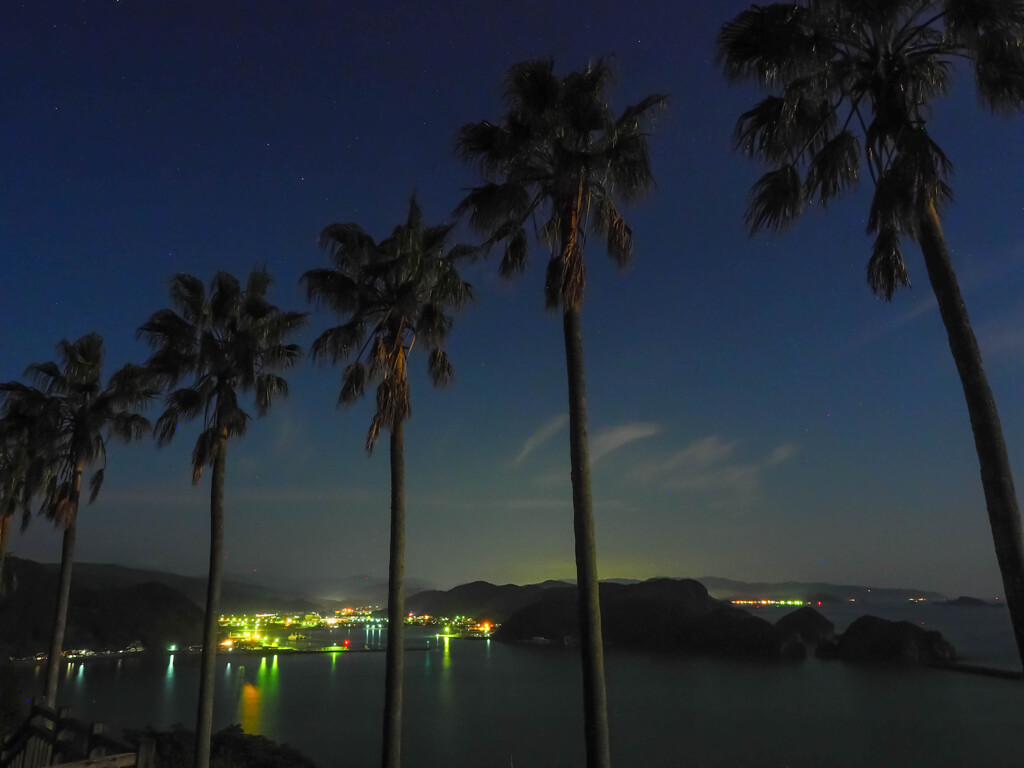 月明かりの港