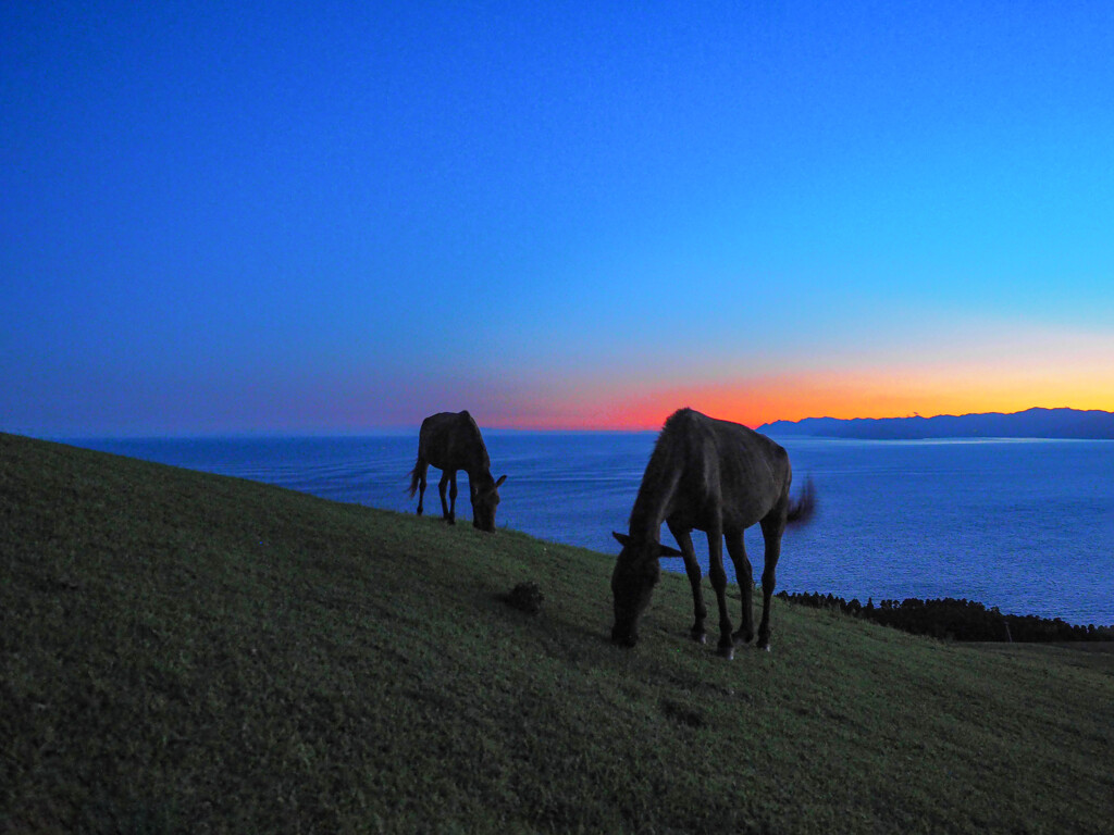 夕景　岬馬