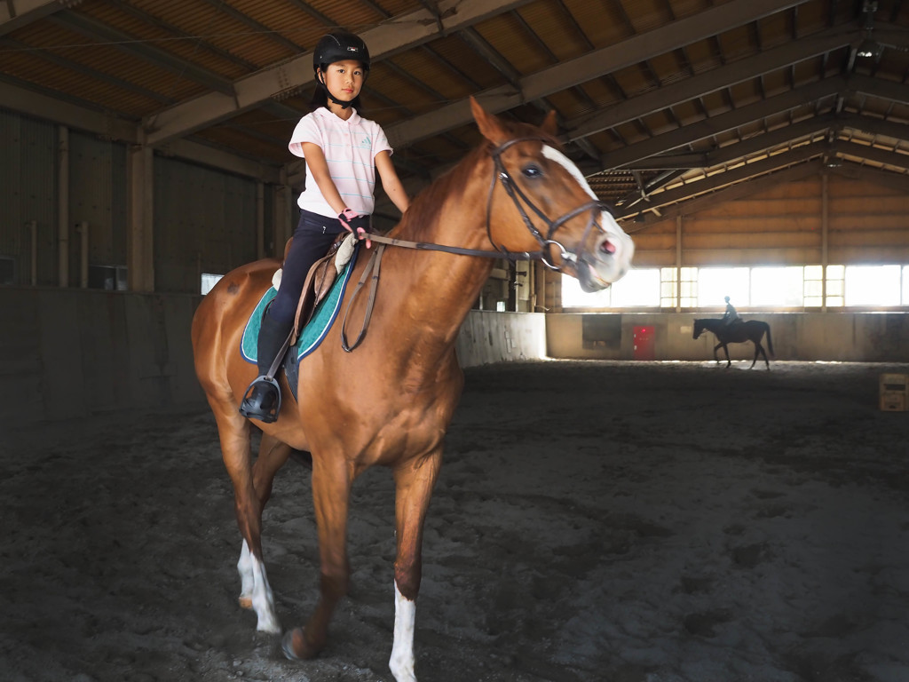 ウォーミングアップ