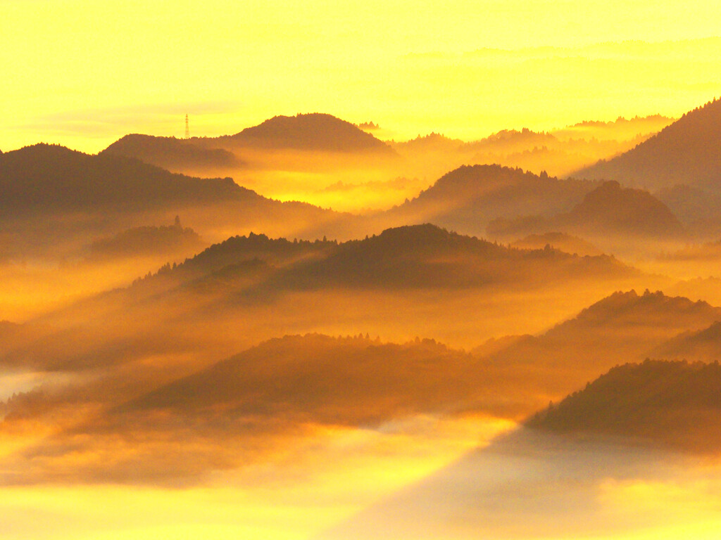 朝日に照らされる雲海