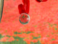 雫