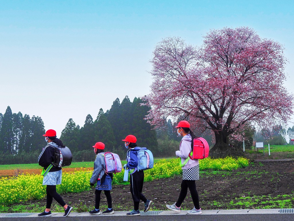 通学路