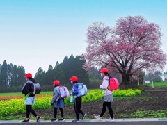 通学路